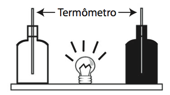 enem2013_1odia_q71.png