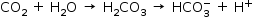 «math style=¨font-family:Tahoma¨ xmlns=¨http://www.w3.org/1998/Math/MathML¨»«mstyle mathsize=¨14px¨»«mrow»«msub»«mi»CO«/mi»«mn»2«/mn»«/msub»«mo»§#xA0;«/mo»«mo»+«/mo»«mo»§#xA0;«/mo»«msub»«mi mathvariant=¨normal¨»H«/mi»«mn»2«/mn»«/msub»«mi mathvariant=¨normal¨»O«/mi»«mo»§#xA0;«/mo»«mo»§#x2192;«/mo»«mo»§#xA0;«/mo»«msub»«mi mathvariant=¨normal¨»H«/mi»«mn»2«/mn»«/msub»«msub»«mi»CO«/mi»«mn»3«/mn»«/msub»«mo»§#xA0;«/mo»«mo»§#x2192;«/mo»«mo»§#xA0;«/mo»«msubsup»«mi»HCO«/mi»«mn»3«/mn»«mo»-«/mo»«/msubsup»«mo»§#xA0;«/mo»«mo»+«/mo»«mo»§#xA0;«/mo»«msup»«mi mathvariant=¨normal¨»H«/mi»«mo»+«/mo»«/msup»«/mrow»«/mstyle»«/math»