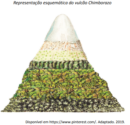 vegetação de altitude – ESPAÇO EM TRANSFORMAÇÃO